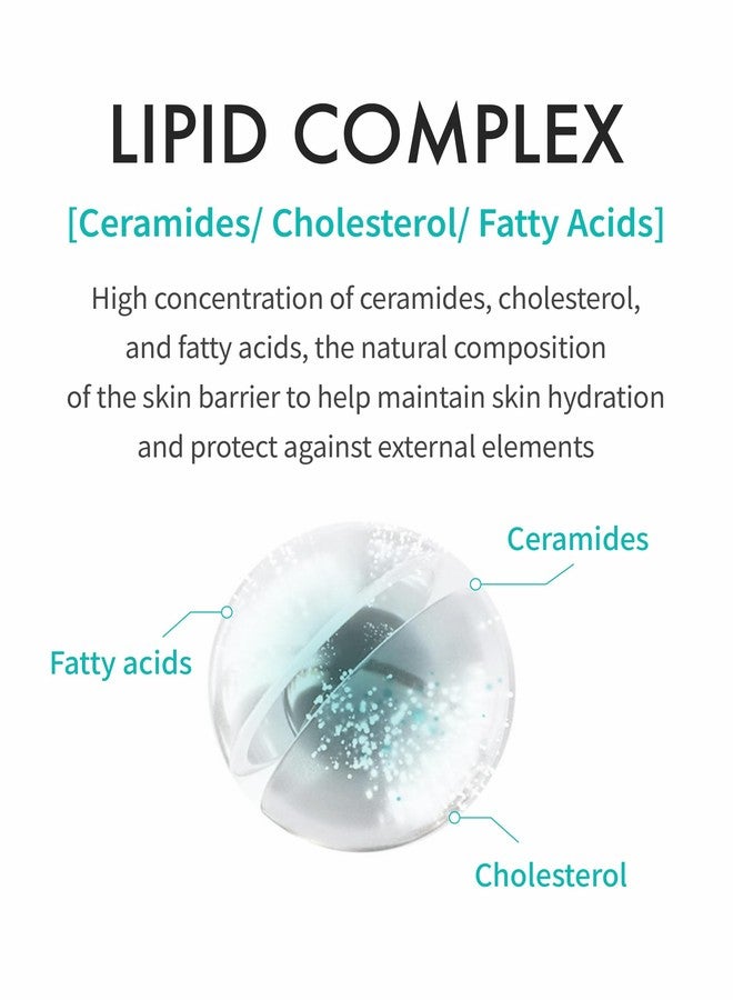 ريچوران كريم ريجوران® المرطب، سي-بي دي آر إن® - مرطب يومي لترطيب يدوم طويلاً ودعم حاجز البشرة مع بي دي آر إكس. (2.11 أونصة) - Image 4